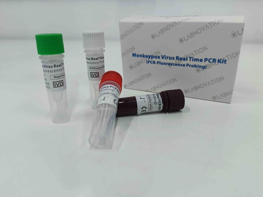 Test-Kit Real Time For Human-Serum-Verletzungs-Exsudat-Proben Monkeypox-Virus PCR schnelle