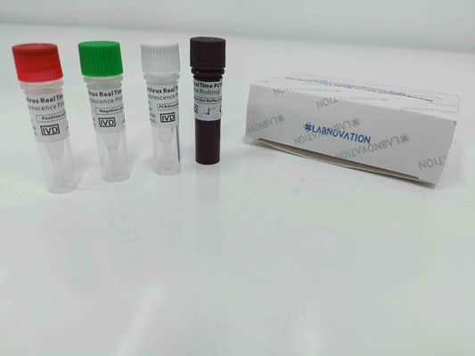 Qualität  Real Time Monkeypox PCR Test Kit With Positive / Negative Control usine