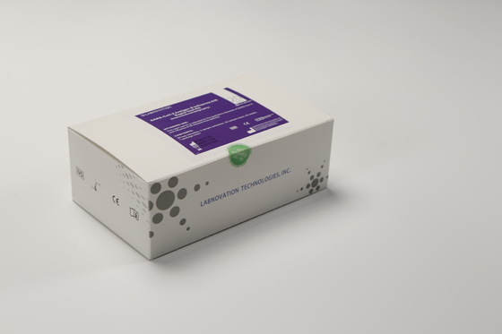 Labnovation 20 Test Kit For Early Treatment der Test-Grippe-AB