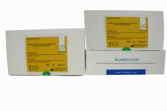 Schnelle Test-Ausrüstung CER Diplom-20Tests/Kit des Diagnose- Antigen-SARS-CoV-2